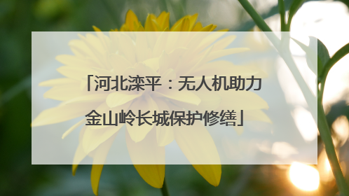 河北滦平：无人机助力金山岭长城保护修缮