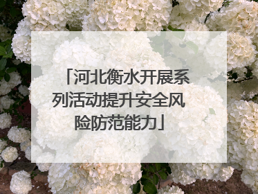 河北衡水开展系列活动提升安全风险防范能力