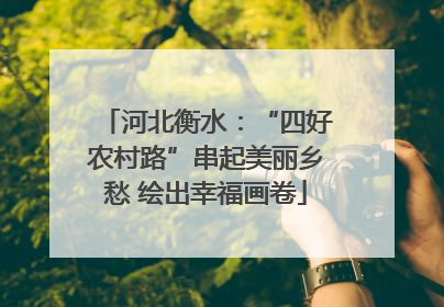 河北衡水：“四好农村路”串起美丽乡愁 绘出幸福画卷