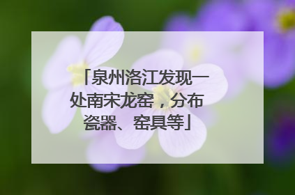 泉州洛江发现一处南宋龙窑，分布瓷器、窑具等
