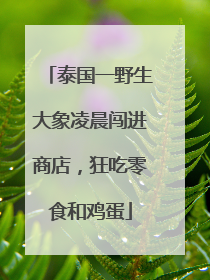 泰国一野生大象凌晨闯进商店，狂吃零食和鸡蛋