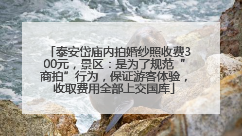 泰安岱庙内拍婚纱照收费300元，景区：是为了规范“商拍”行为，保证游客体验，收取费用全部上交国库