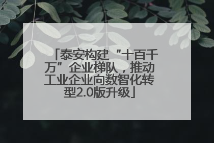 泰安构建“十百千万”企业梯队，推动工业企业向数智化转型2.0版升级