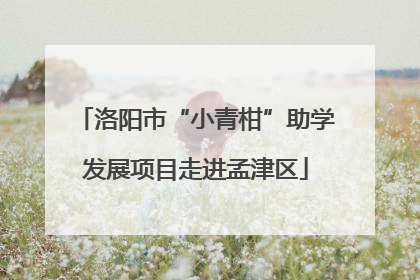 洛阳市“小青柑”助学发展项目走进孟津区