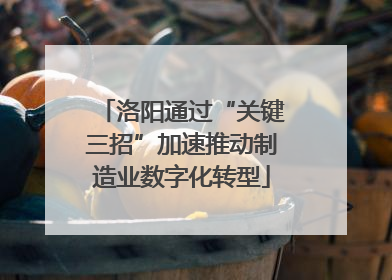 洛阳通过“关键三招”加速推动制造业数字化转型