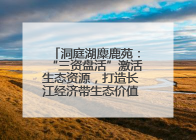 洞庭湖麋鹿苑：“三资盘活”激活生态资源，打造长江经济带生态价值转化新标杆