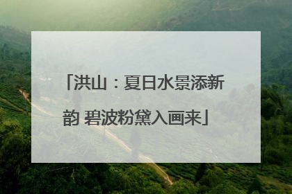 洪山：夏日水景添新韵 碧波粉黛入画来
