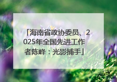 海南省政协委员、2025年全国先进工作者陈峰：光影捕手