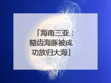 海南三亚：糙齿海豚被成功放归大海