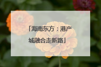 海南东方：港产城融合走新路