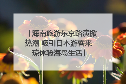 海南旅游东京路演掀热潮 吸引日本游客来琼体验海岛生活