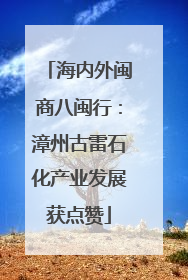 海内外闽商八闽行：漳州古雷石化产业发展获点赞