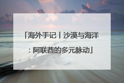 海外手记丨沙漠与海洋：阿联酋的多元脉动