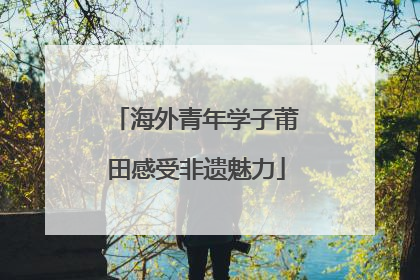 海外青年学子莆田感受非遗魅力