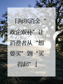 海尔消金“政企双补”让消费者从“想要买”到“买得起”