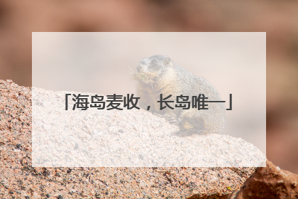 海岛麦收，长岛唯一