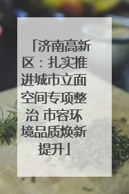 济南高新区：扎实推进城市立面空间专项整治 市容环境品质焕新提升