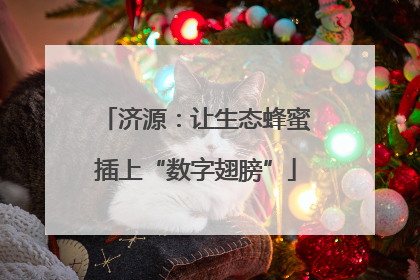 济源：让生态蜂蜜插上“数字翅膀”