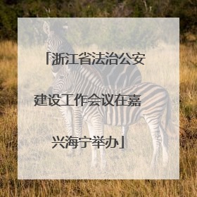浙江省法治公安建设工作会议在嘉兴海宁举办