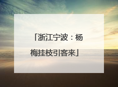 浙江宁波：杨梅挂枝引客来