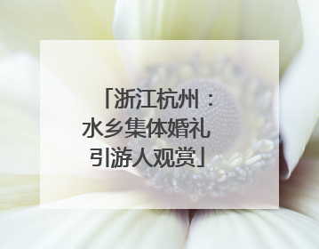 浙江杭州：水乡集体婚礼引游人观赏