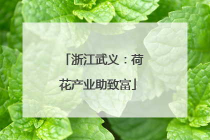 浙江武义：荷花产业助致富