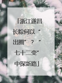 浙江遂昌长粽何以“出圈”？“七十二变”中探新路