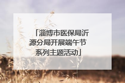 淄博市医保局沂源分局开展端午节系列主题活动