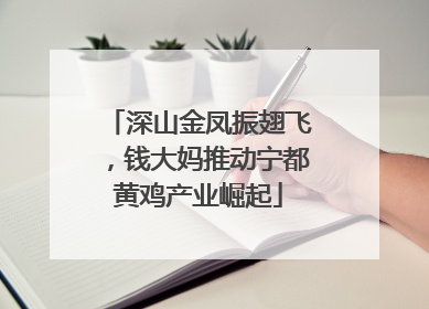 深山金凤振翅飞，钱大妈推动宁都黄鸡产业崛起