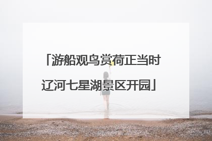 游船观鸟赏荷正当时 辽河七星湖景区开园