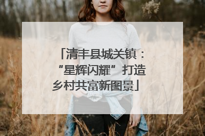 清丰县城关镇：“星辉闪耀”打造乡村共富新图景