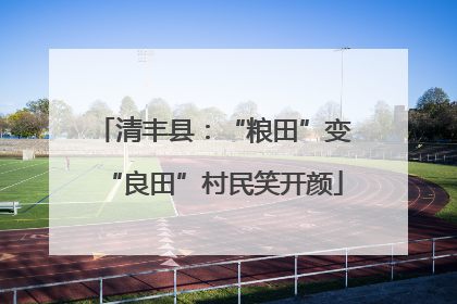 清丰县：“粮田”变“良田”村民笑开颜