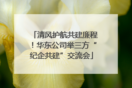 清风护航共建廉程！华东公司举三方“纪企共建”交流会