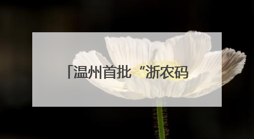 温州首批“浙农码”杨梅上市 扫码溯源“数字土特产”