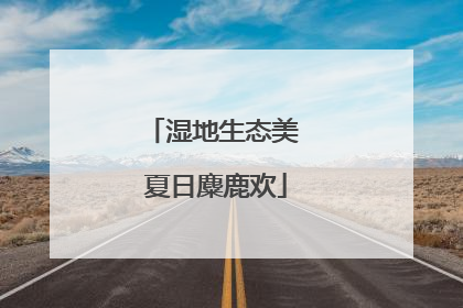 湿地生态美 夏日麋鹿欢
