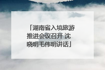 湖南省入境旅游推进会议召开 沈晓明毛伟明讲话