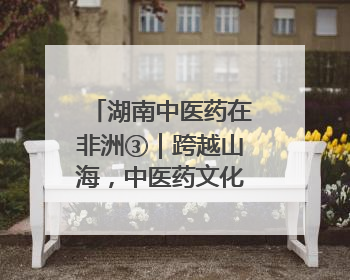 湖南中医药在非洲③｜跨越山海，中医药文化浸润非洲