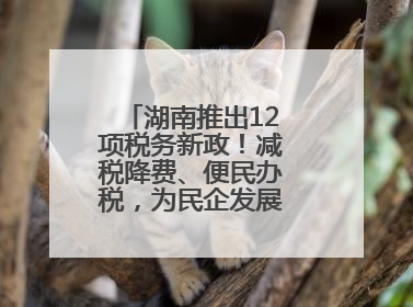 湖南推出12项税务新政！减税降费、便民办税，为民企发展“减负加油”
