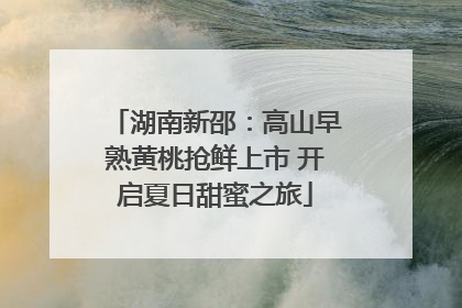 湖南新邵：高山早熟黄桃抢鲜上市 开启夏日甜蜜之旅