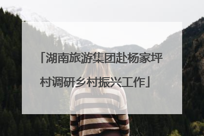 湖南旅游集团赴杨家坪村调研乡村振兴工作