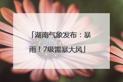 湖南气象发布：暴雨！7级雷暴大风