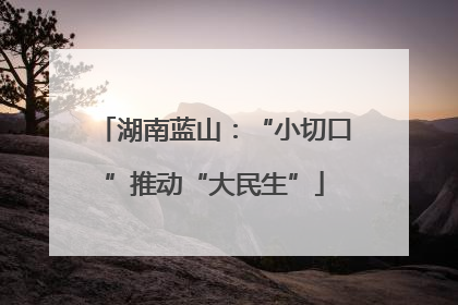 湖南蓝山：“小切口”推动“大民生”