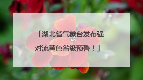 湖北省气象台发布强对流黄色省级预警！