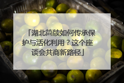 湖北简牍如何传承保护与活化利用？这个座谈会共商新路径