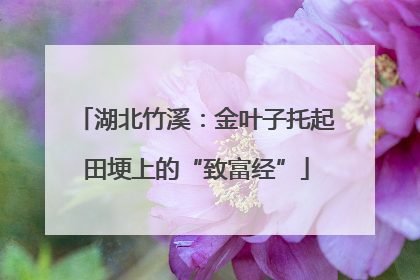 湖北竹溪：金叶子托起田埂上的“致富经”
