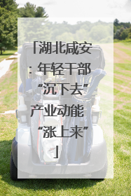 湖北咸安：年轻干部“沉下去” 产业动能“涨上来”