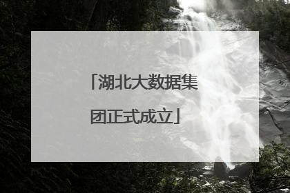 湖北大数据集团正式成立