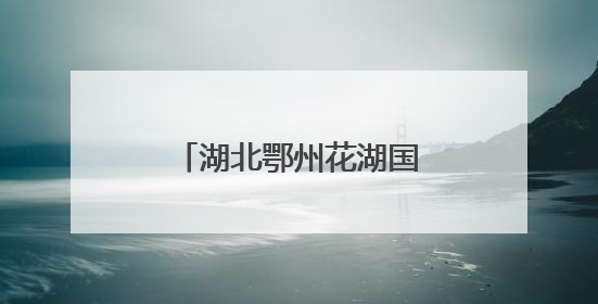 湖北鄂州花湖国际机场开通4条“荔枝航线”