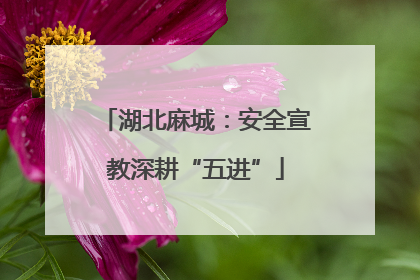 湖北麻城：安全宣教深耕“五进”