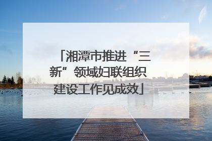 湘潭市推进“三新”领域妇联组织建设工作见成效